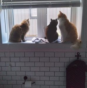 Meet your Posher, Terrie